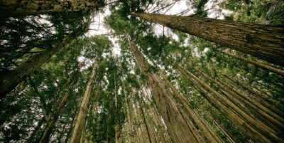 The first step to take when you are stuck.