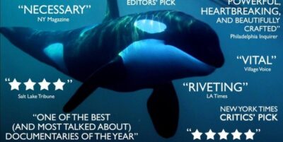 Blackfish