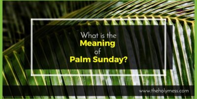 What is the Meaning of Palm Sunday?|The Holy Mess