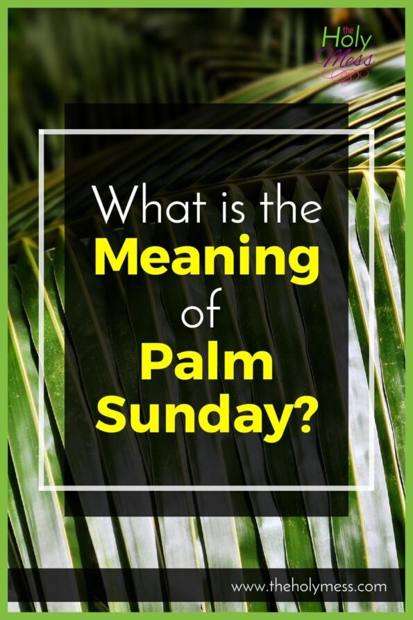 Palm Sunday Its Meaning & Significance in Christian Faith