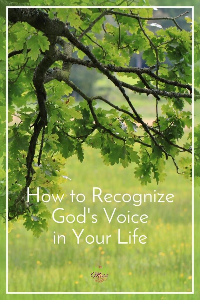 How to Recognize God's Voice in Your Life|The Holy Mess