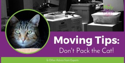 Moving Tips: Don't Pack the Cat and Other Advice from Moving Experts|The Holy Mess
