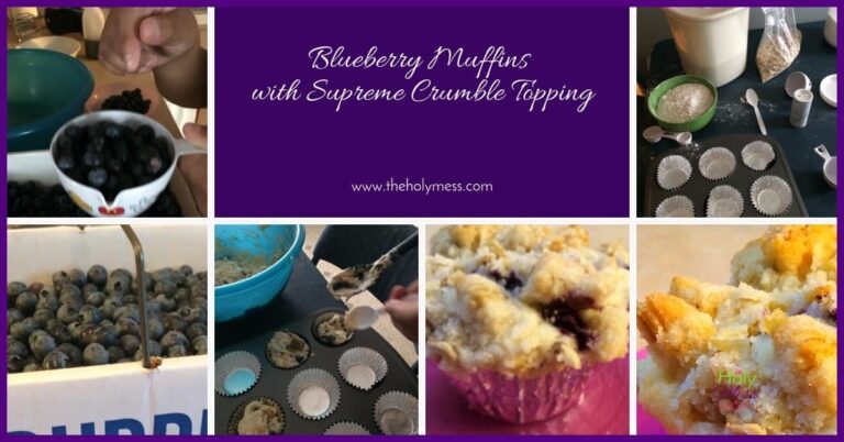 Blueberry Muffins with Supreme Crumble Topping|The Holy Mess