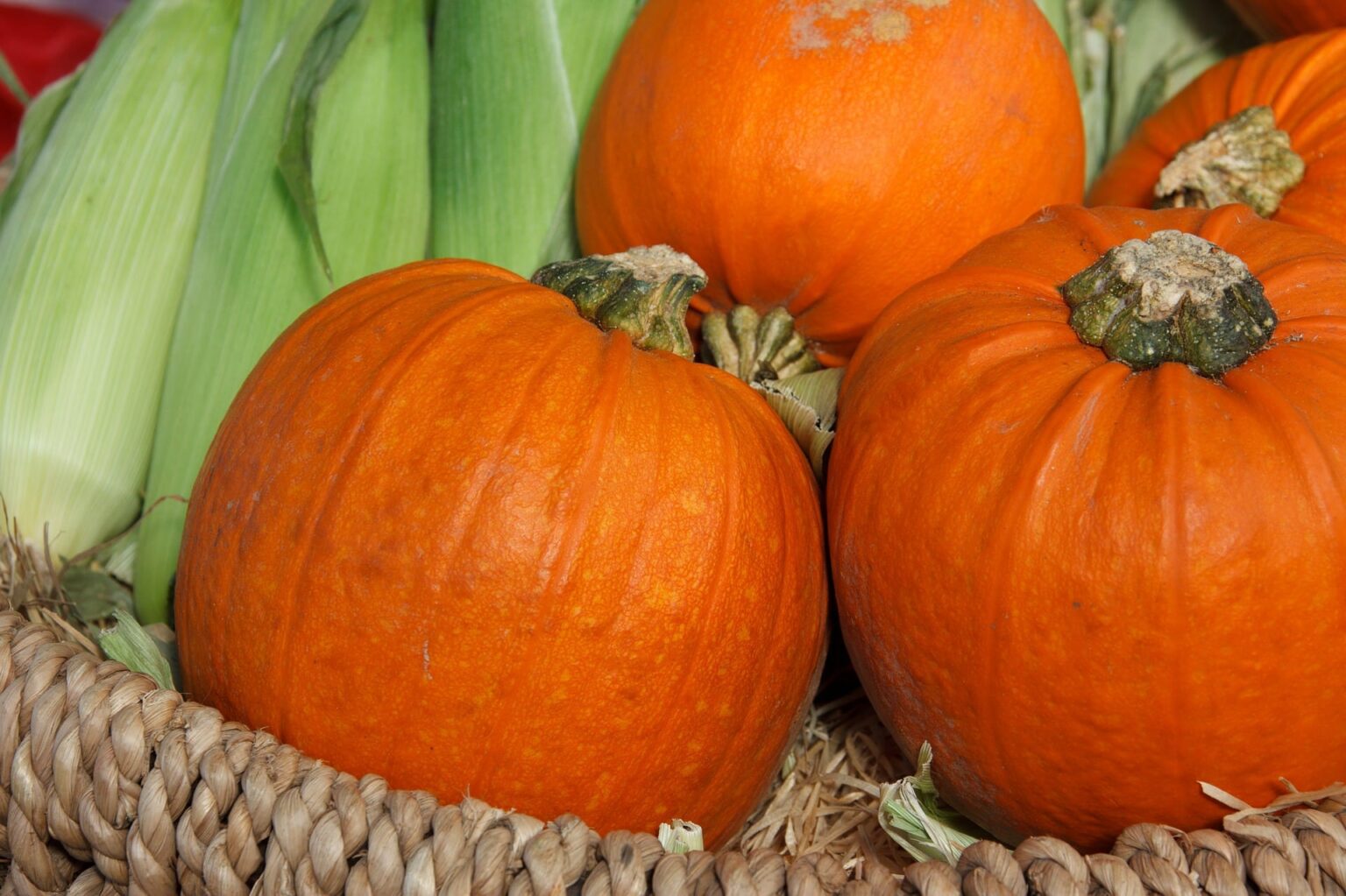 3 Healthy Ways to Use Canned Pumpkin
