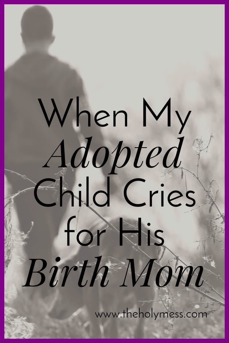 When My Adopted Child Cries for His Birth Mom|The Holy Mess
