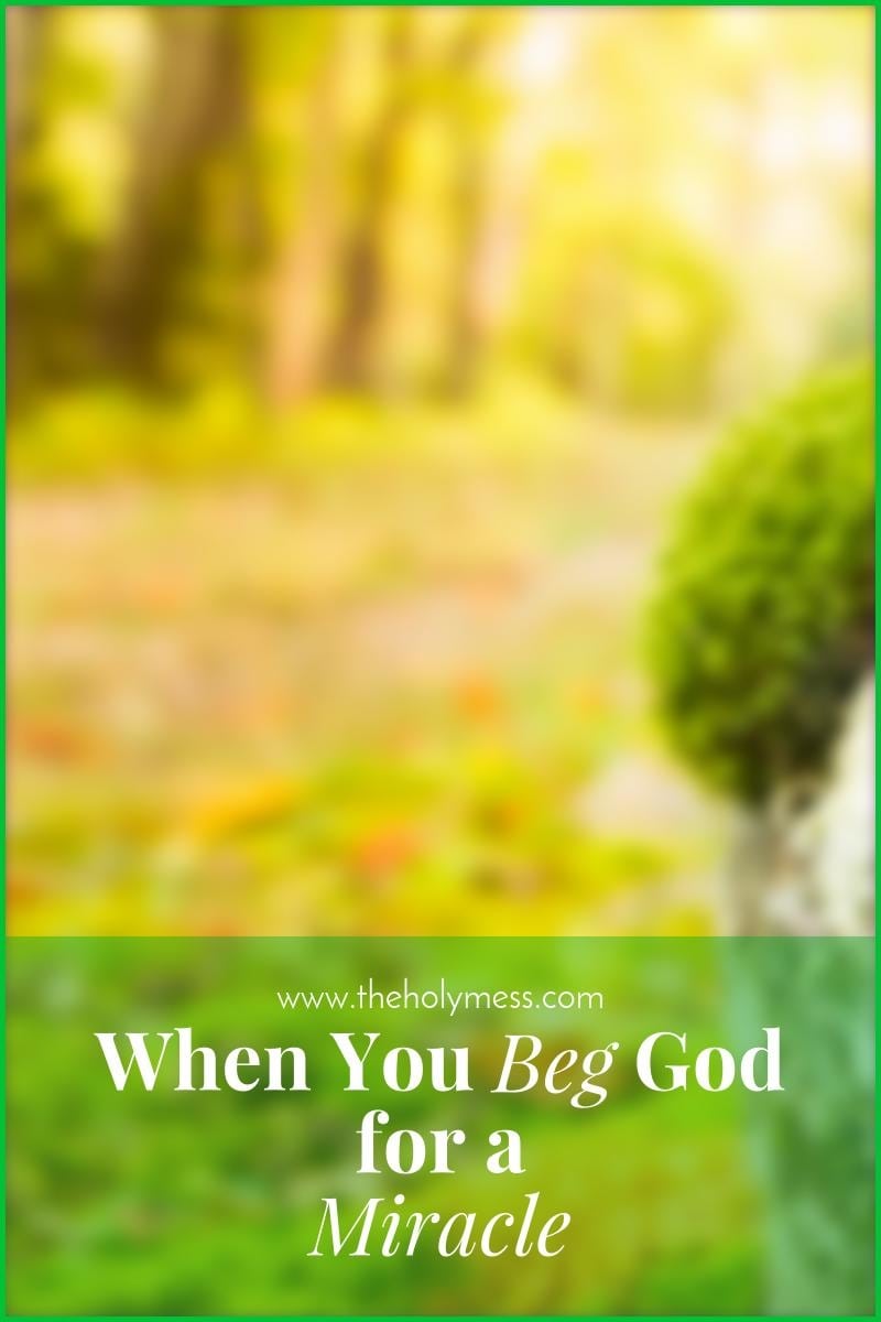 When You Beg God for a Miracle|The Holy Mess