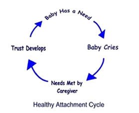Healthy Attachment Cycle