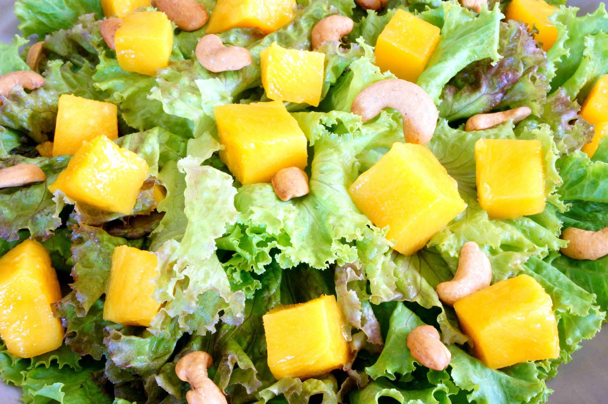 Mango Cashew Salad close up