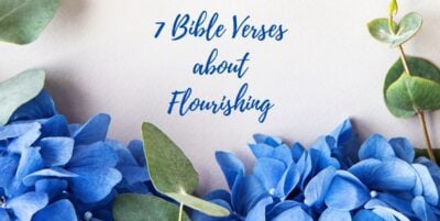 Bible verses about flourishing