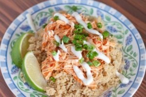 Instant Pot Salsa Chicken