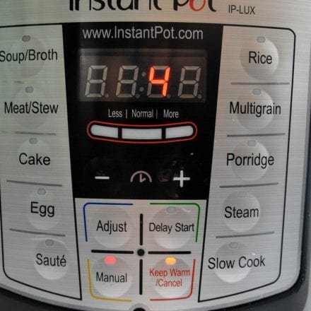 WW Instant Pot cooking