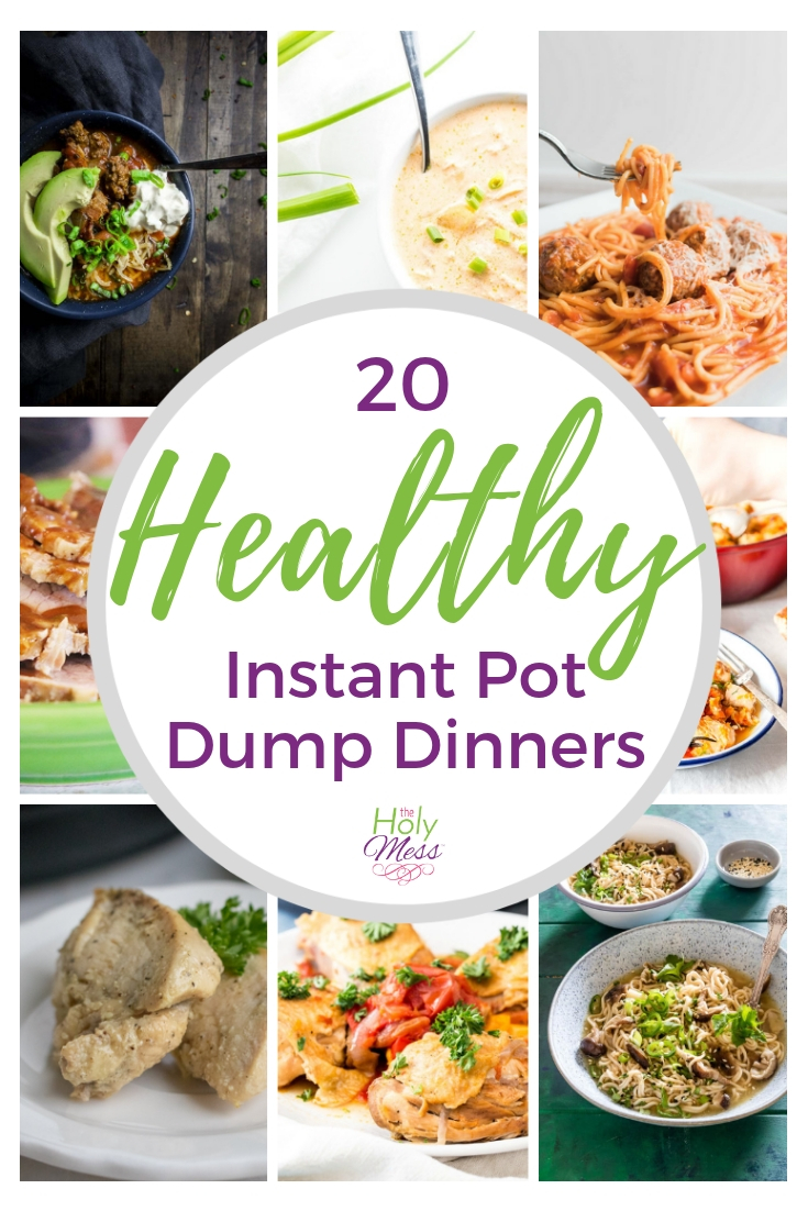 20 Healthy Instant Pot Dump Dinner Recipes The Holy Mess