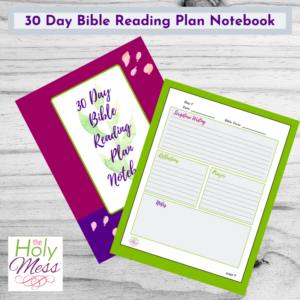 30 Day Bible Reading Plan Notebook Printable