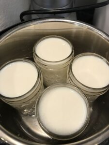 IP yogurt in 3 quart - cold start