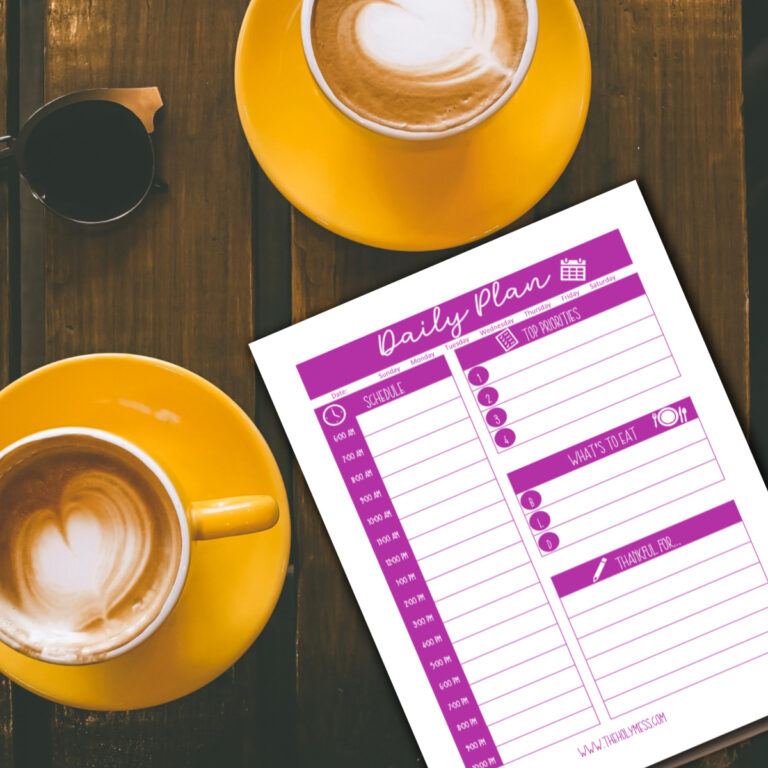 Daily Action Plan - Free Printable The Holy Mess