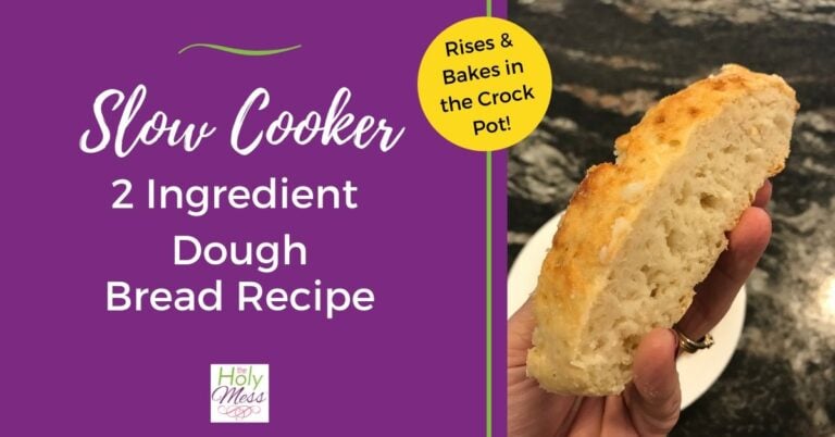 Slow Cooker 2 Ingredient Dough Bread Recipe