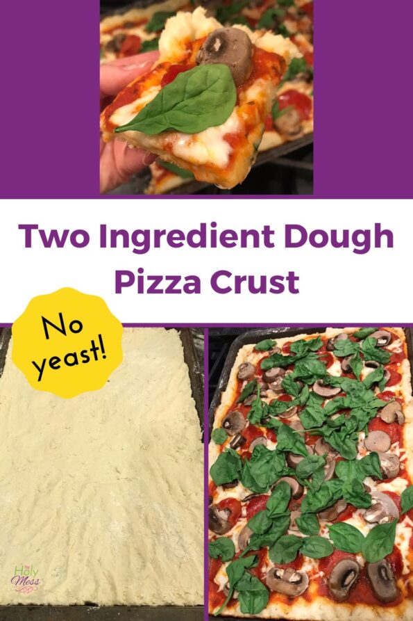 Two Ingredient Pizza Dough The Holy Mess