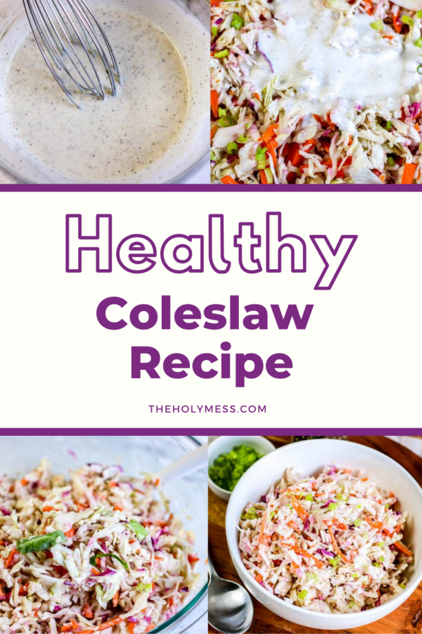 Weight Watchers Coleslaw Recipe Low Fat and Sugar Free The Holy Mess