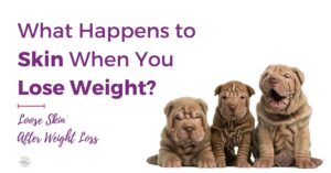 A Protein- And Fiber-Rich Diet Could Help You Lose 'Significantly' More Weight, New Study Suggests