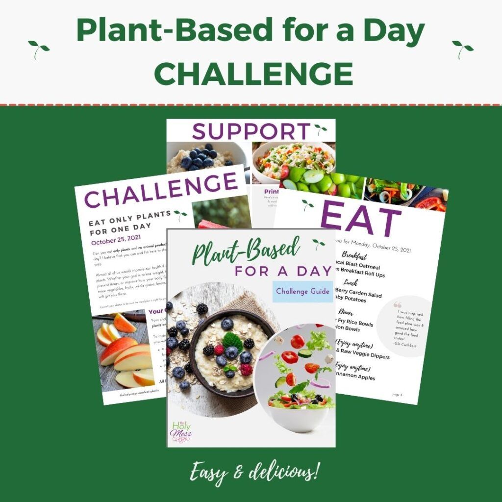 Plant Based Challenge Bundle