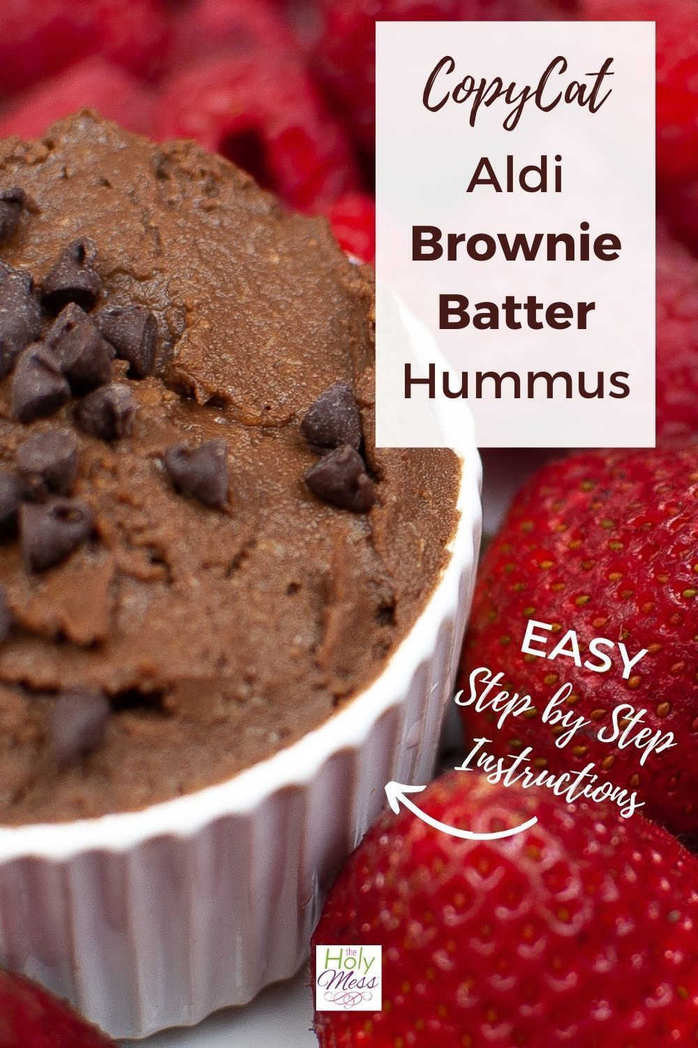 Aldi Copycat Brownie Batter Hummus Recipe