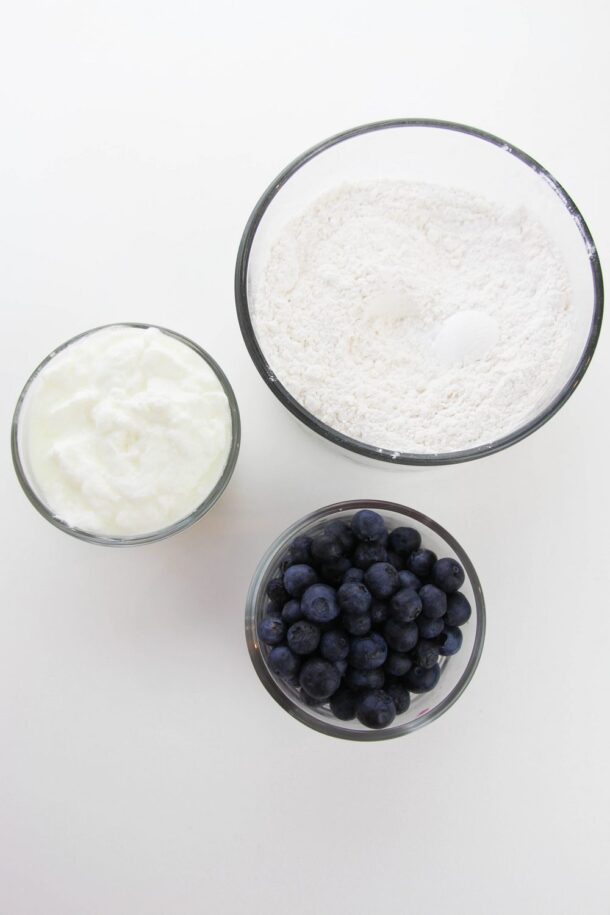 Two Ingredient Dough Blueberry Bagel Recipe The Holy Mess