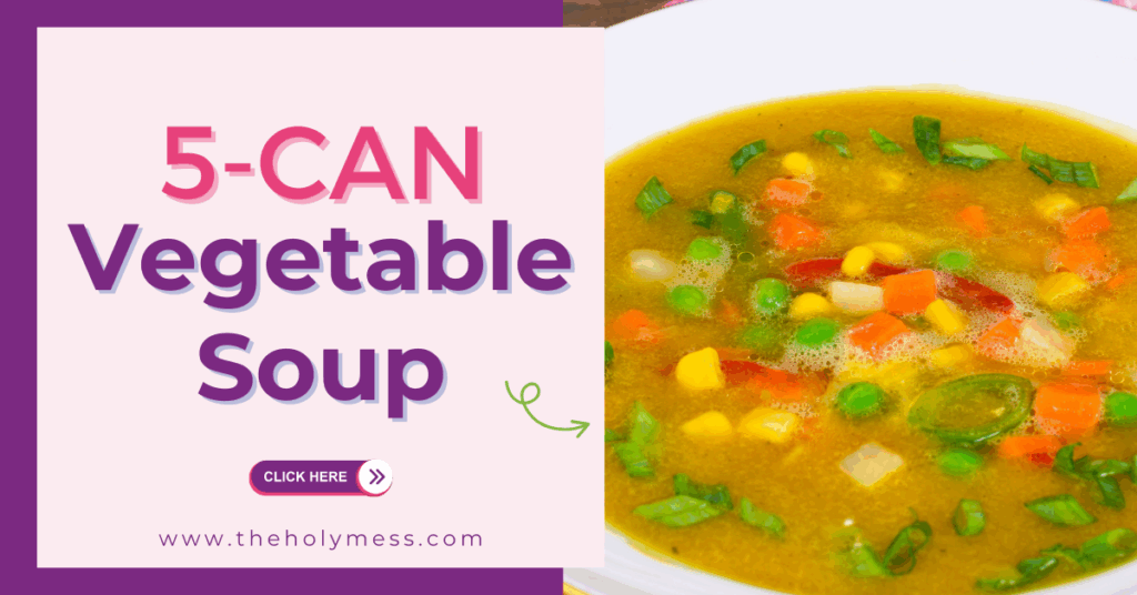 5 Can Vegetable Soup